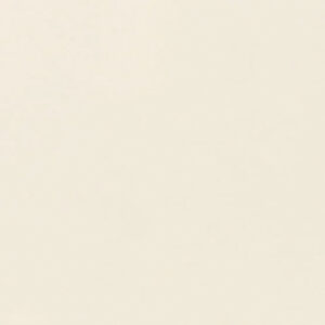 Daltile Color Wheel Linear 4x16 - Biscuit Polished